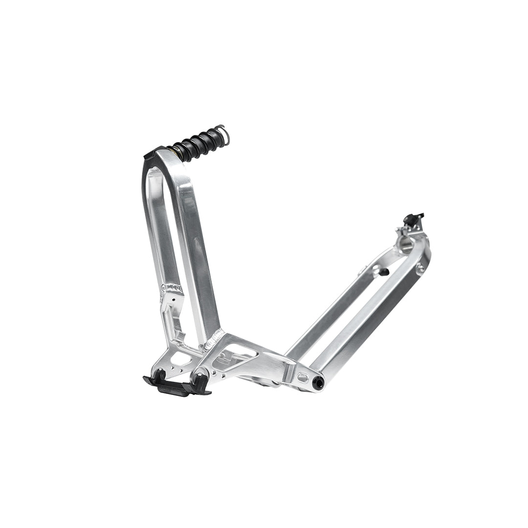 Birdy R20 in Polished Silver | 11-Speed | Performance Foldable Bike