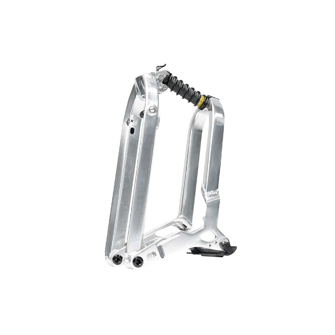Birdy R20 in Polished Silver | 11-Speed | Performance Foldable Bike