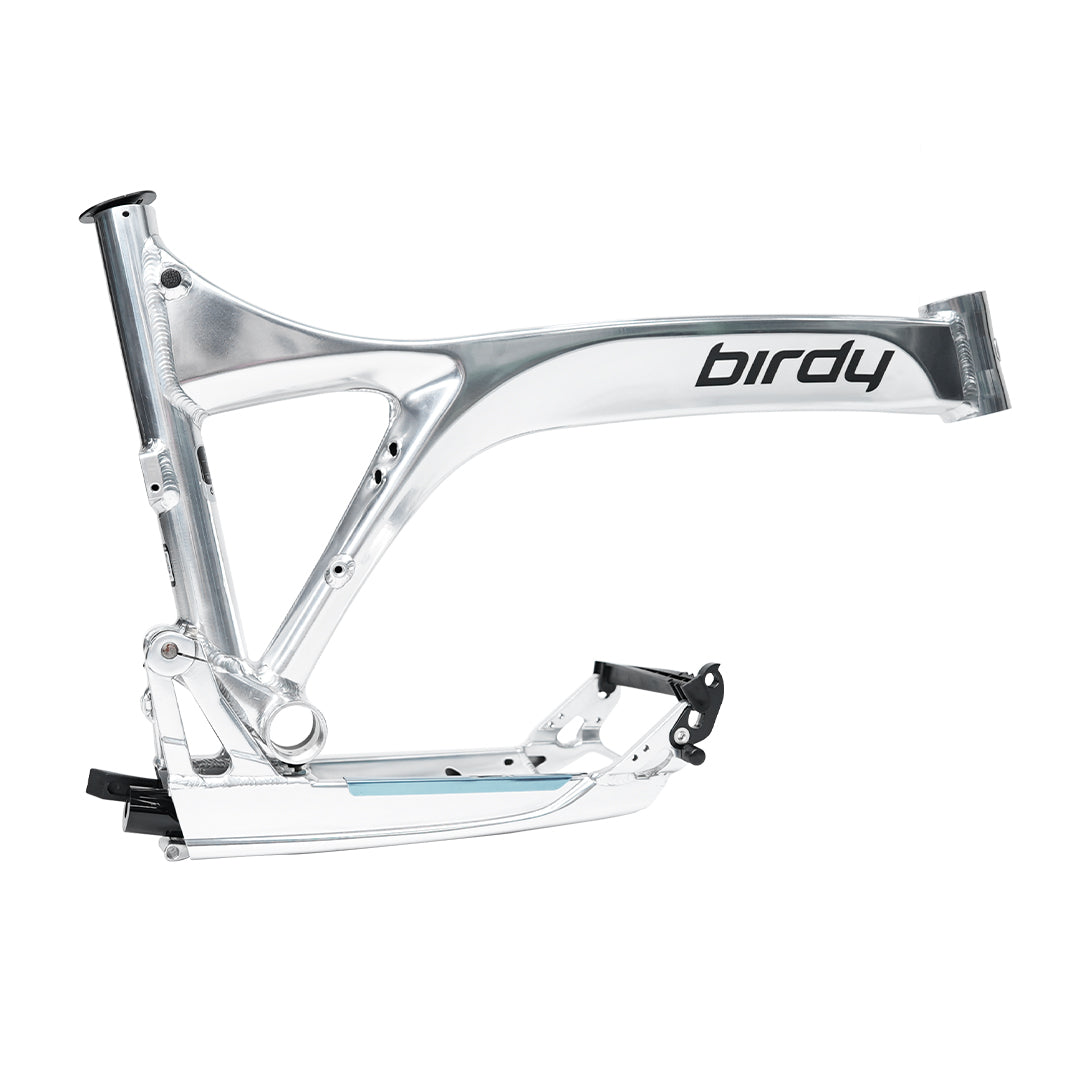 Birdy R20 in Polished Silver | 11-Speed | Performance Foldable Bike