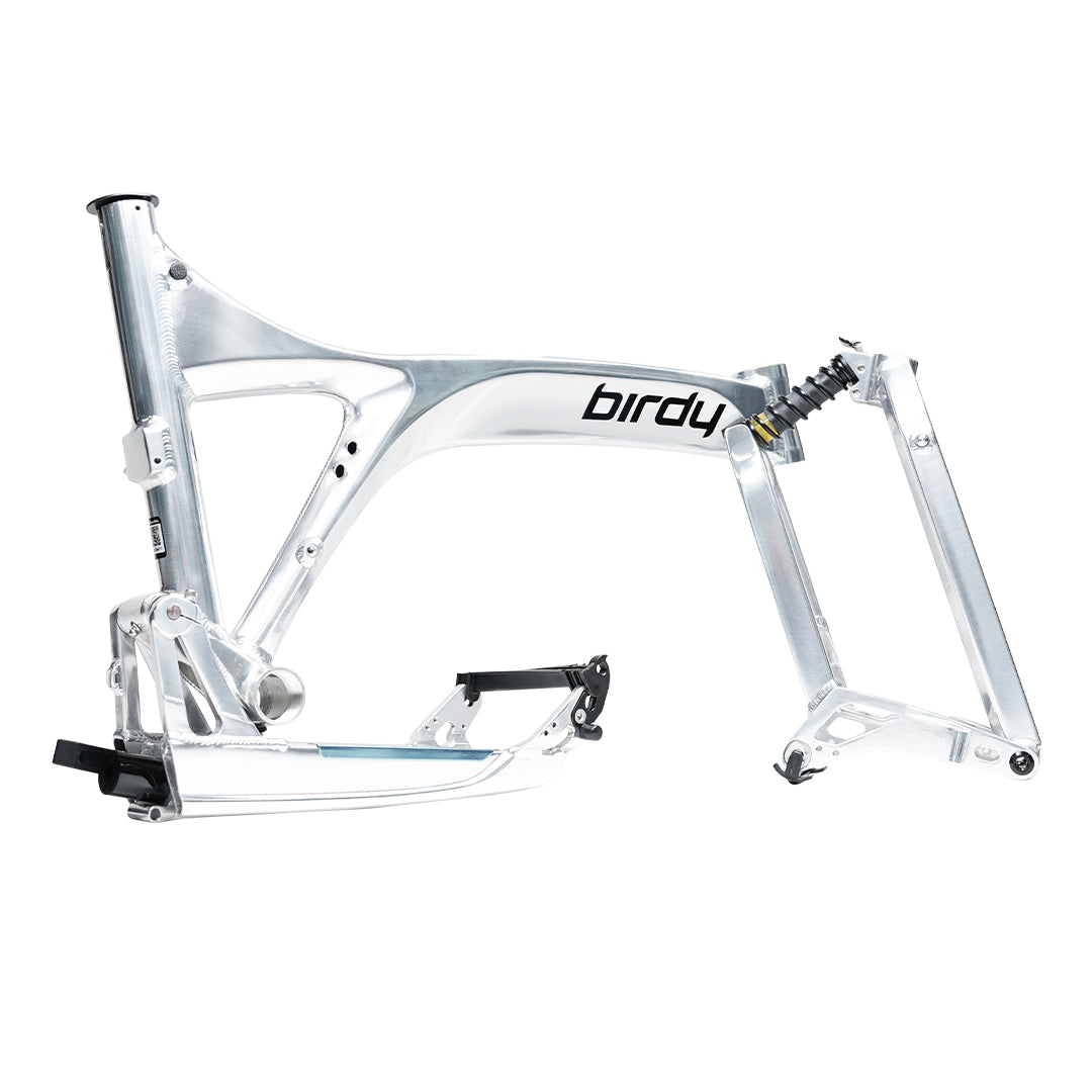 Birdy R20 in Polished Silver | 11-Speed | Performance Foldable Bike