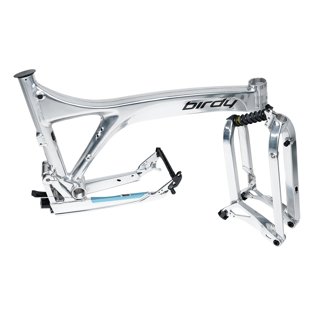 Birdy R20 in Polished Silver | 11-Speed | Performance Foldable Bike