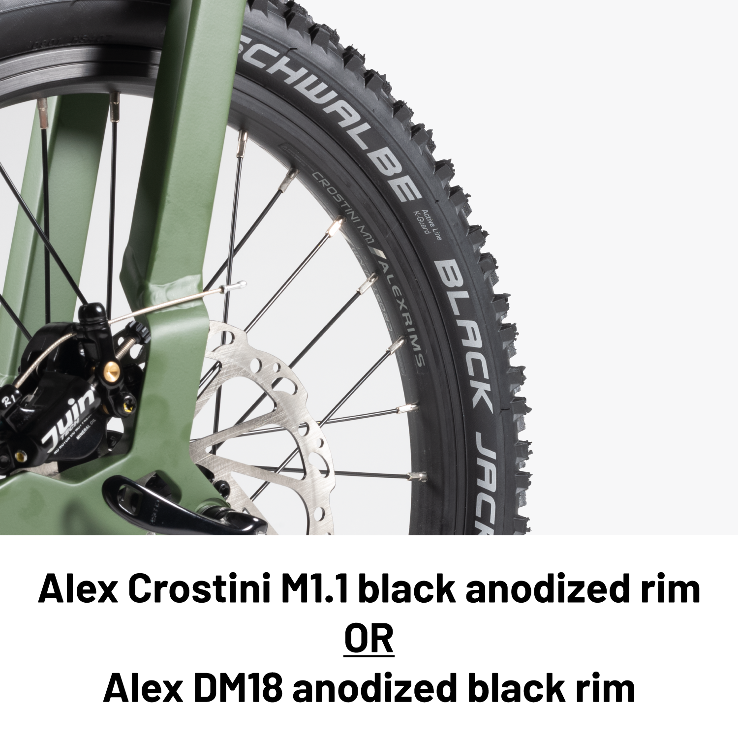 Birdy Gravel | 10-Speed | Performance Foldable Bike