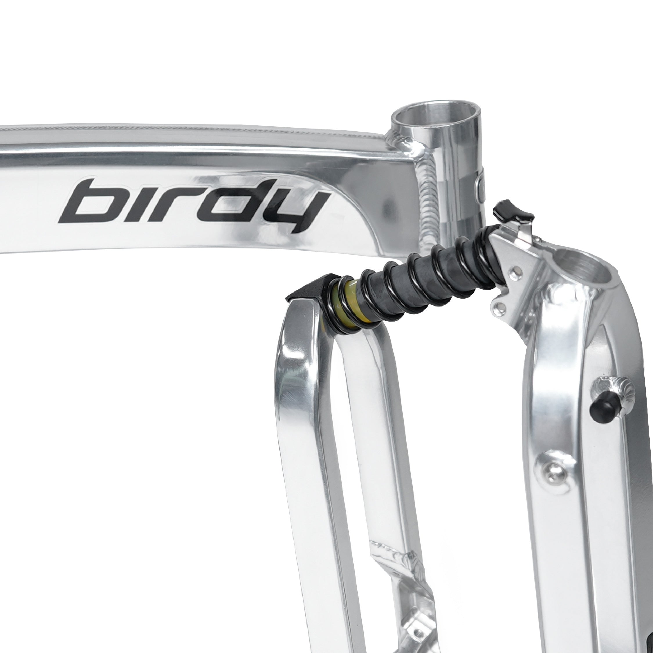 Birdy R20 in Polished Silver | 11-Speed | Performance Foldable Bike