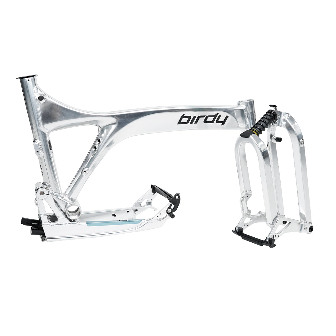 Birdy R20 in Polished Silver | 11-Speed | Performance Foldable Bike