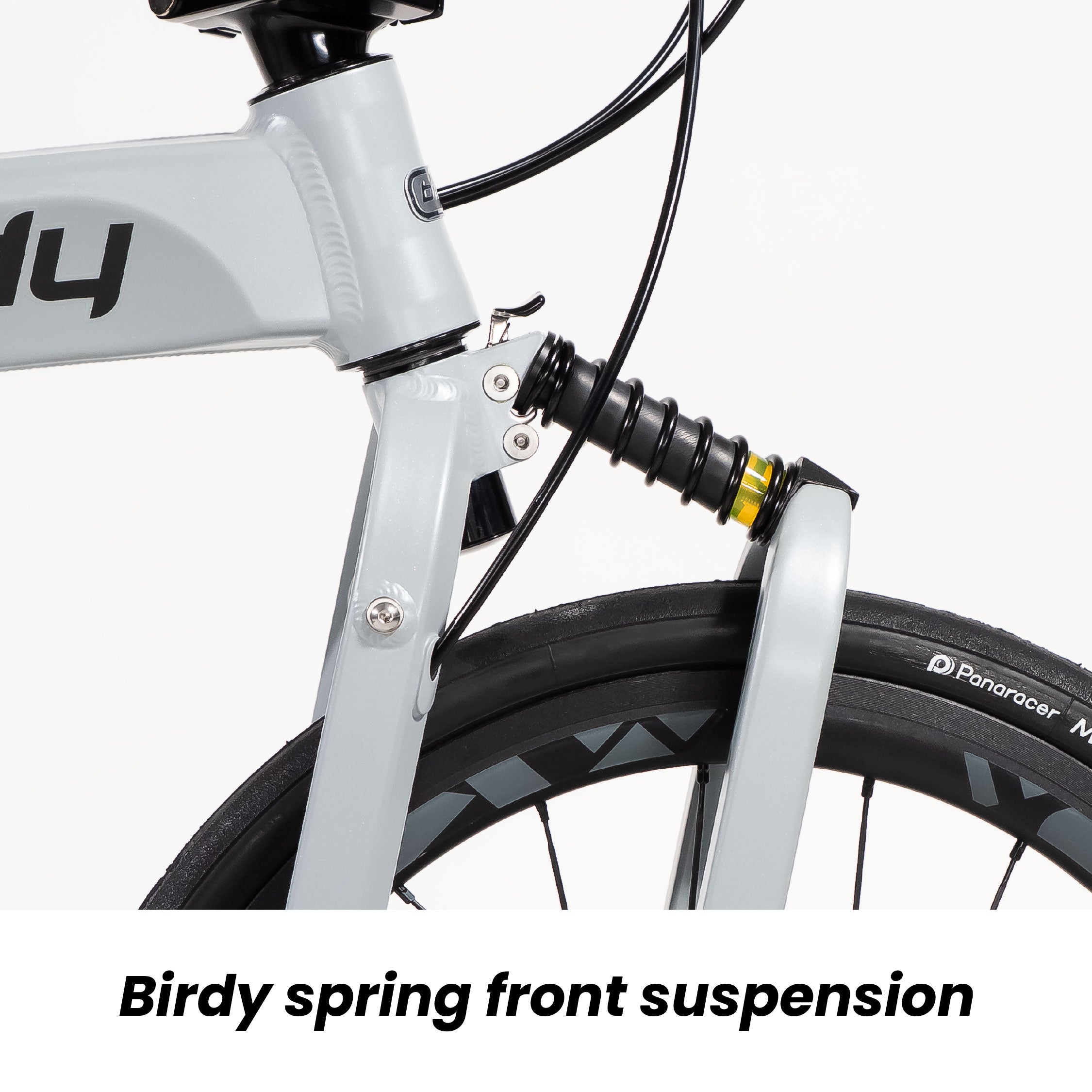 (New Launch!) Birdy DA20 | Powered by Shimano Dura-Ace | 11-Speed | Performance Foldable Bike