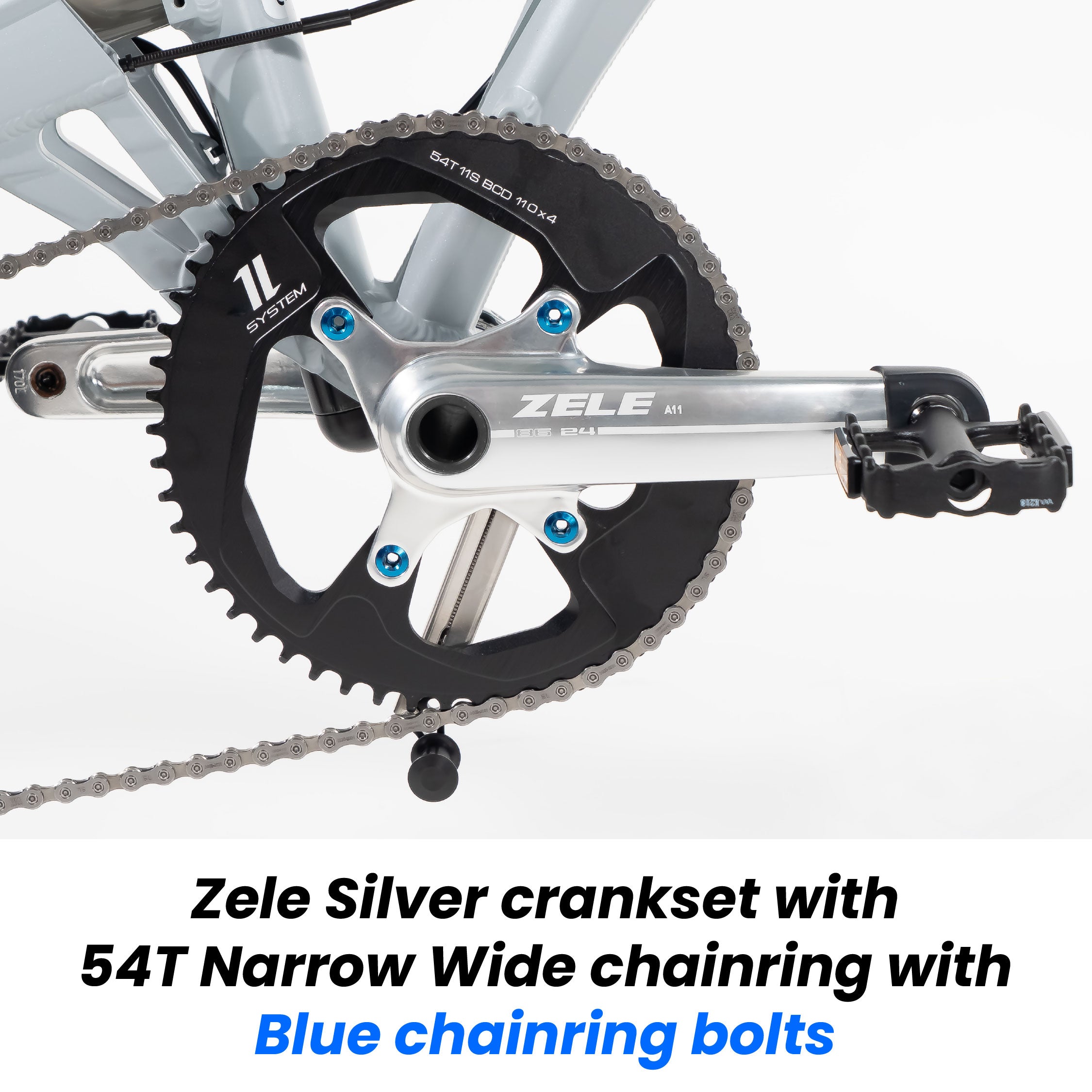 (New Launch!) Birdy DA20 | Powered by Shimano Dura-Ace | 11-Speed | Performance Foldable Bike