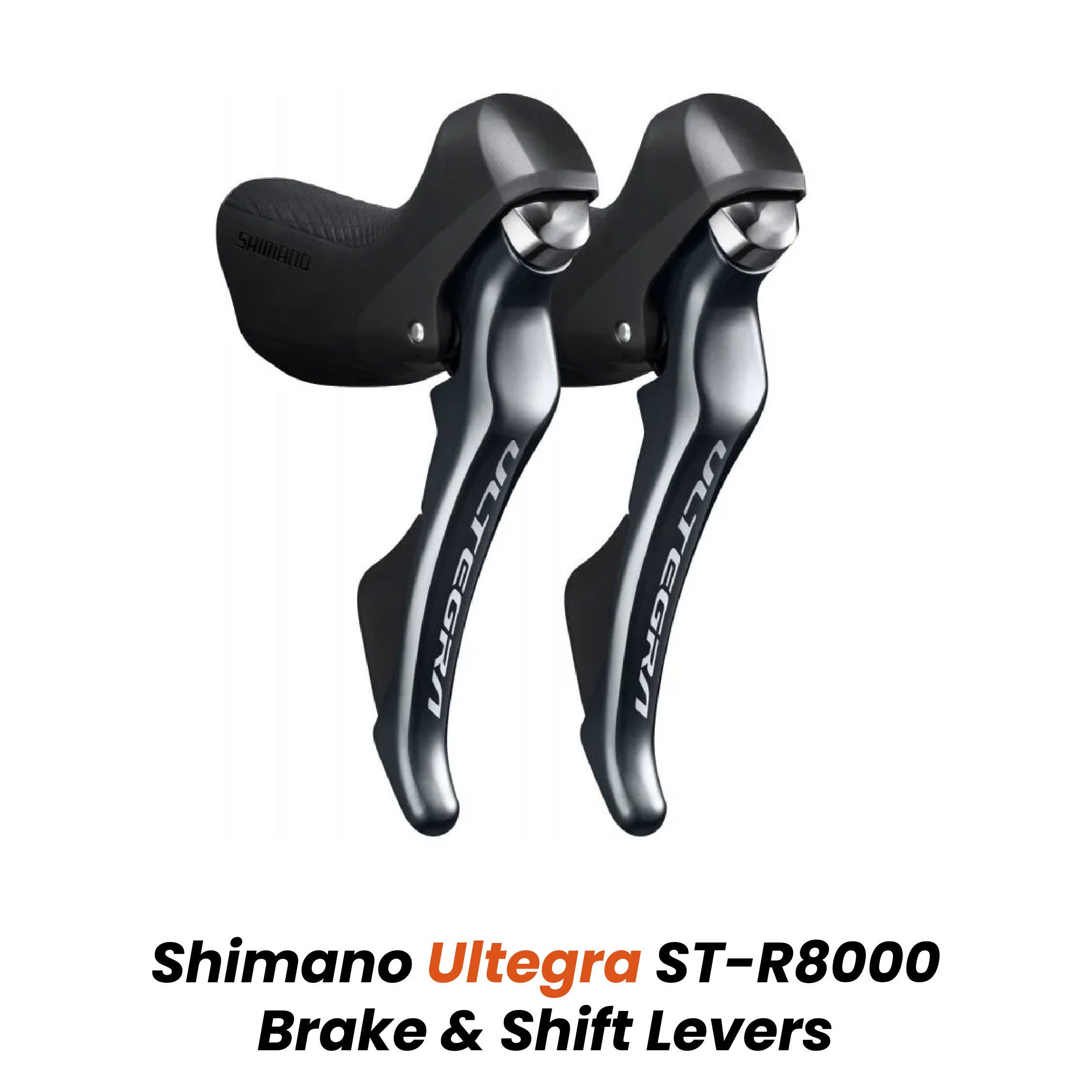 (New Launch!) Birdy Ultegra 20 | Powered by Shimano Ultegra | 11-Speed | Performance Foldable Bike