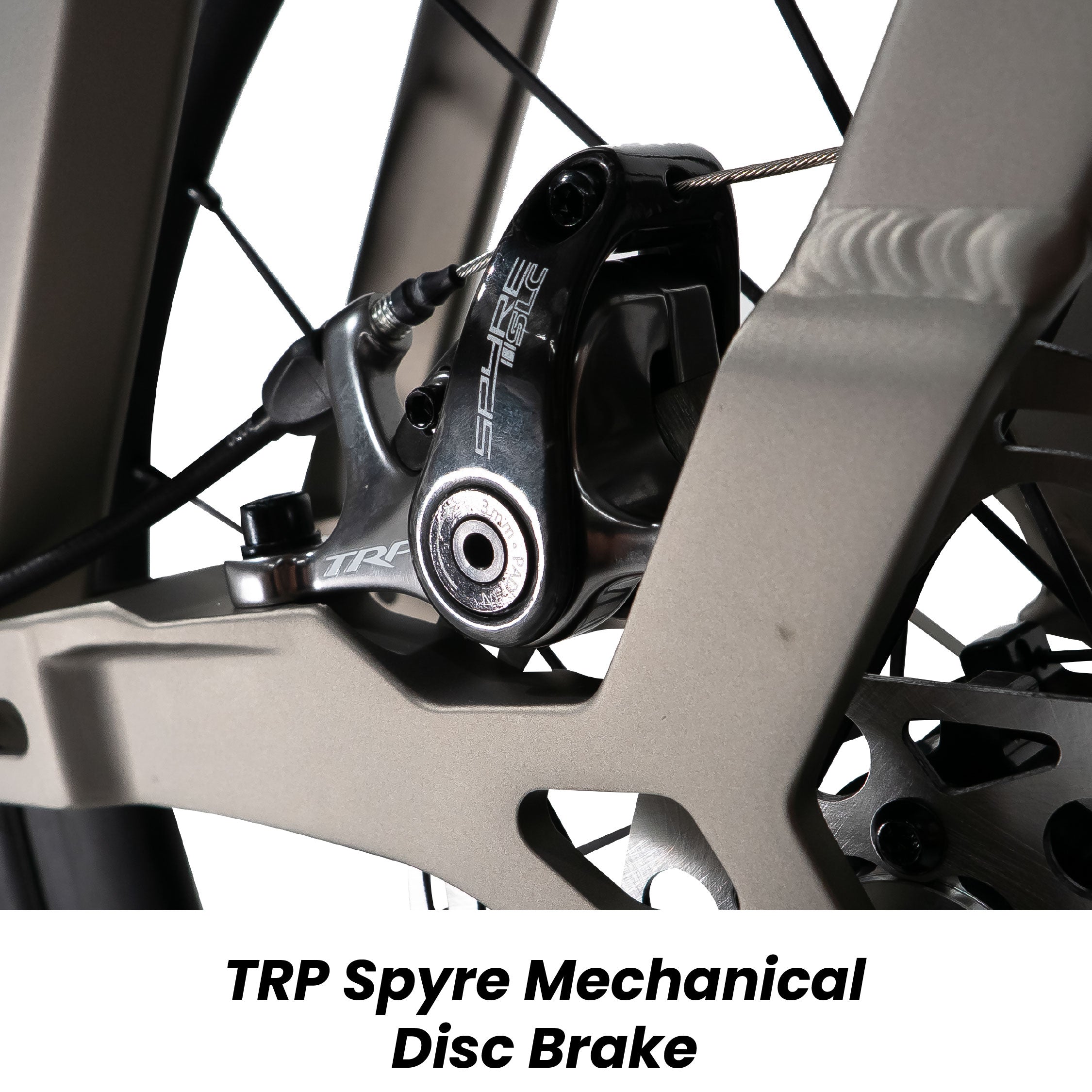 (New Launch!) Birdy Ultegra 20 | Powered by Shimano Ultegra | 11-Speed | Performance Foldable Bike