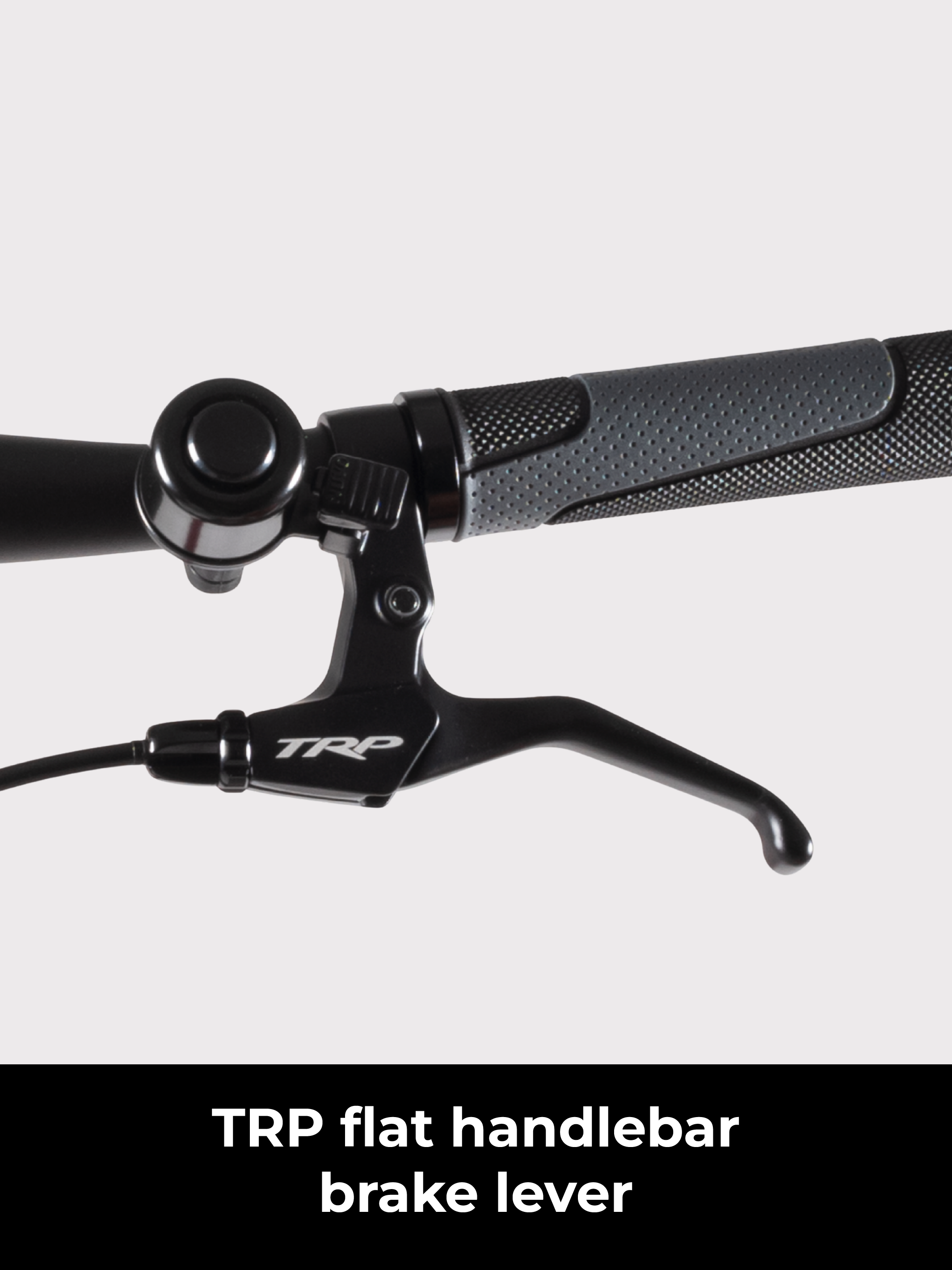 Birdy R20 | 11-Speed | Performance Foldable Bike