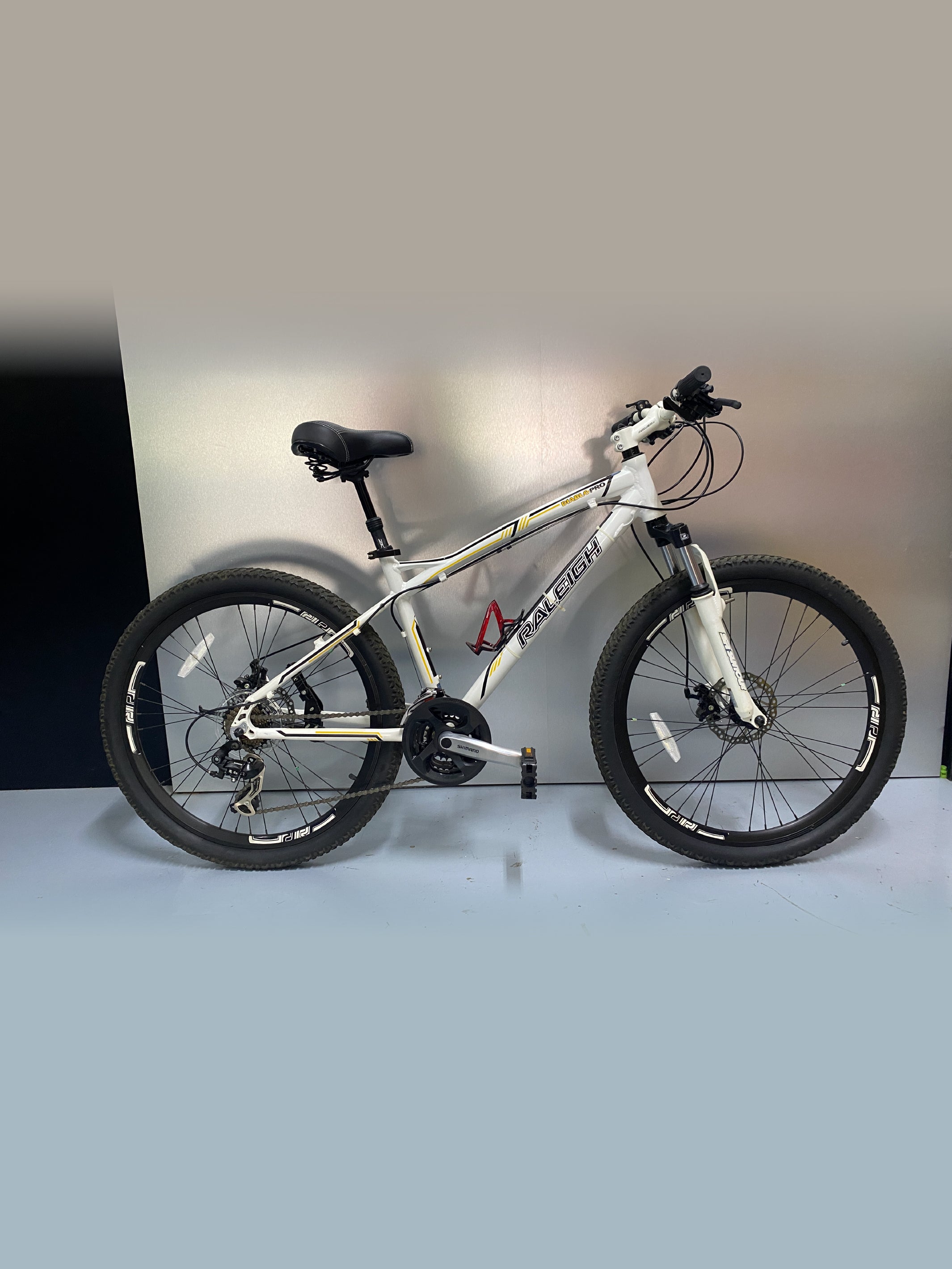 Raleigh Diablo Pro 26"