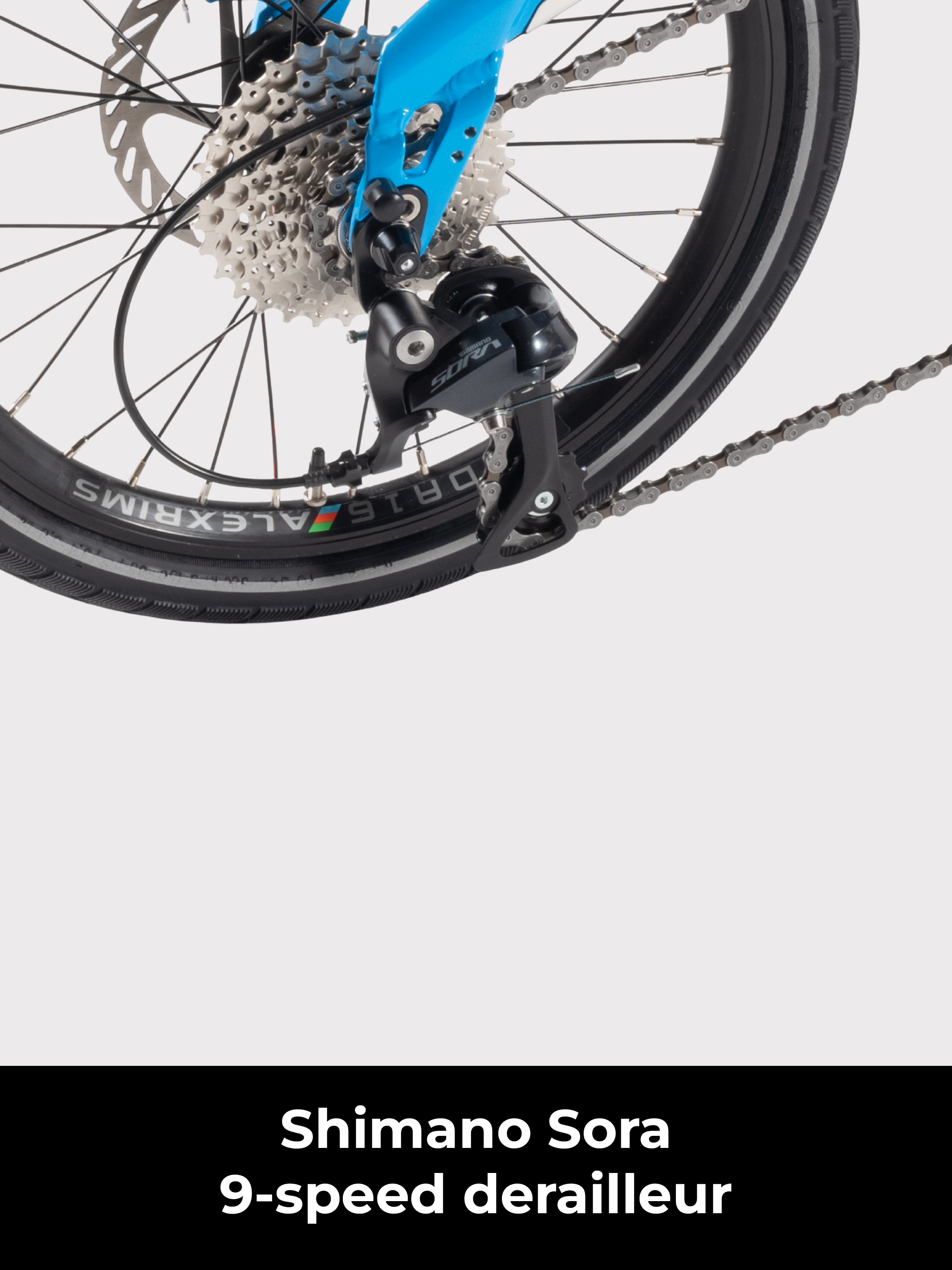 Birdy City | 9-Speed | Performance Foldable Bike