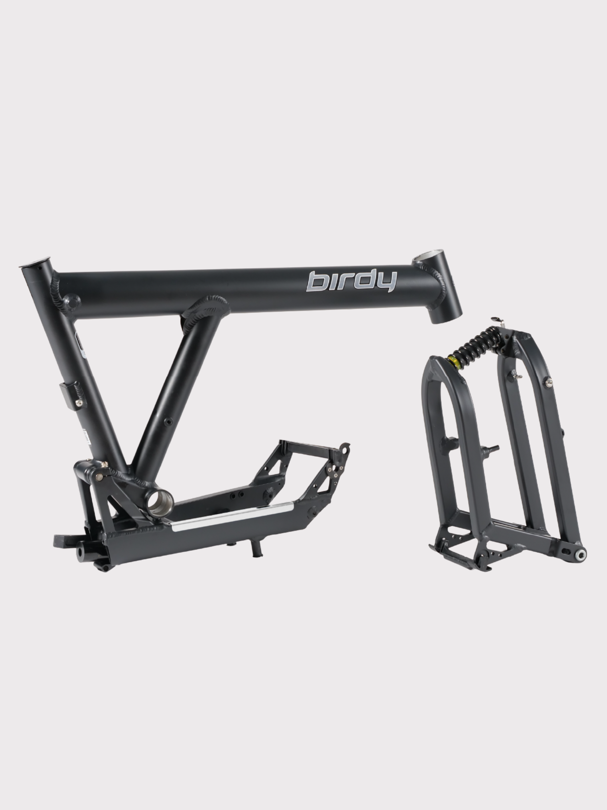 Birdy New Classic | 8-Speed | Performance Foldable Bike