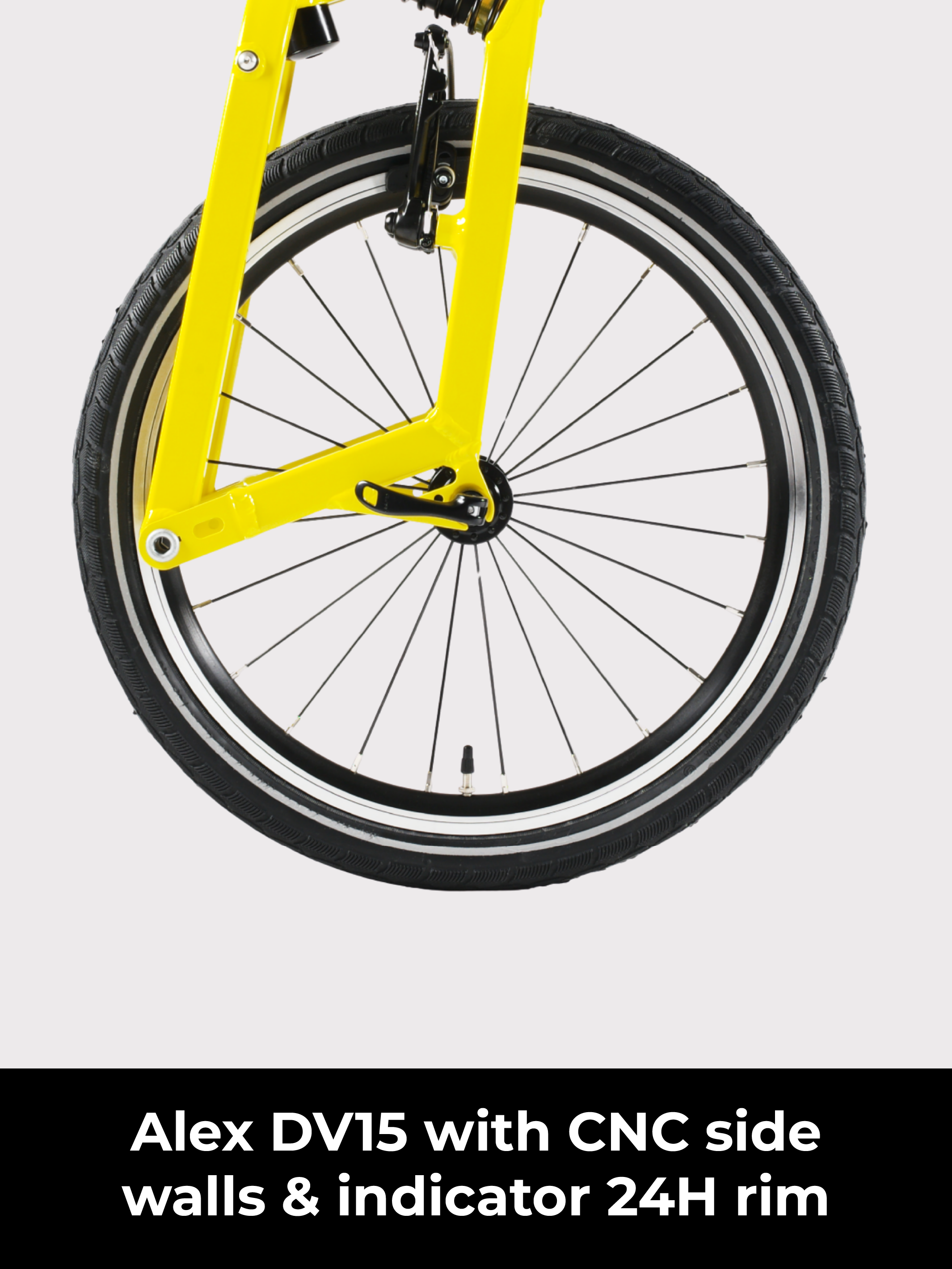 Birdy New Classic | 8-Speed | Performance Foldable Bike