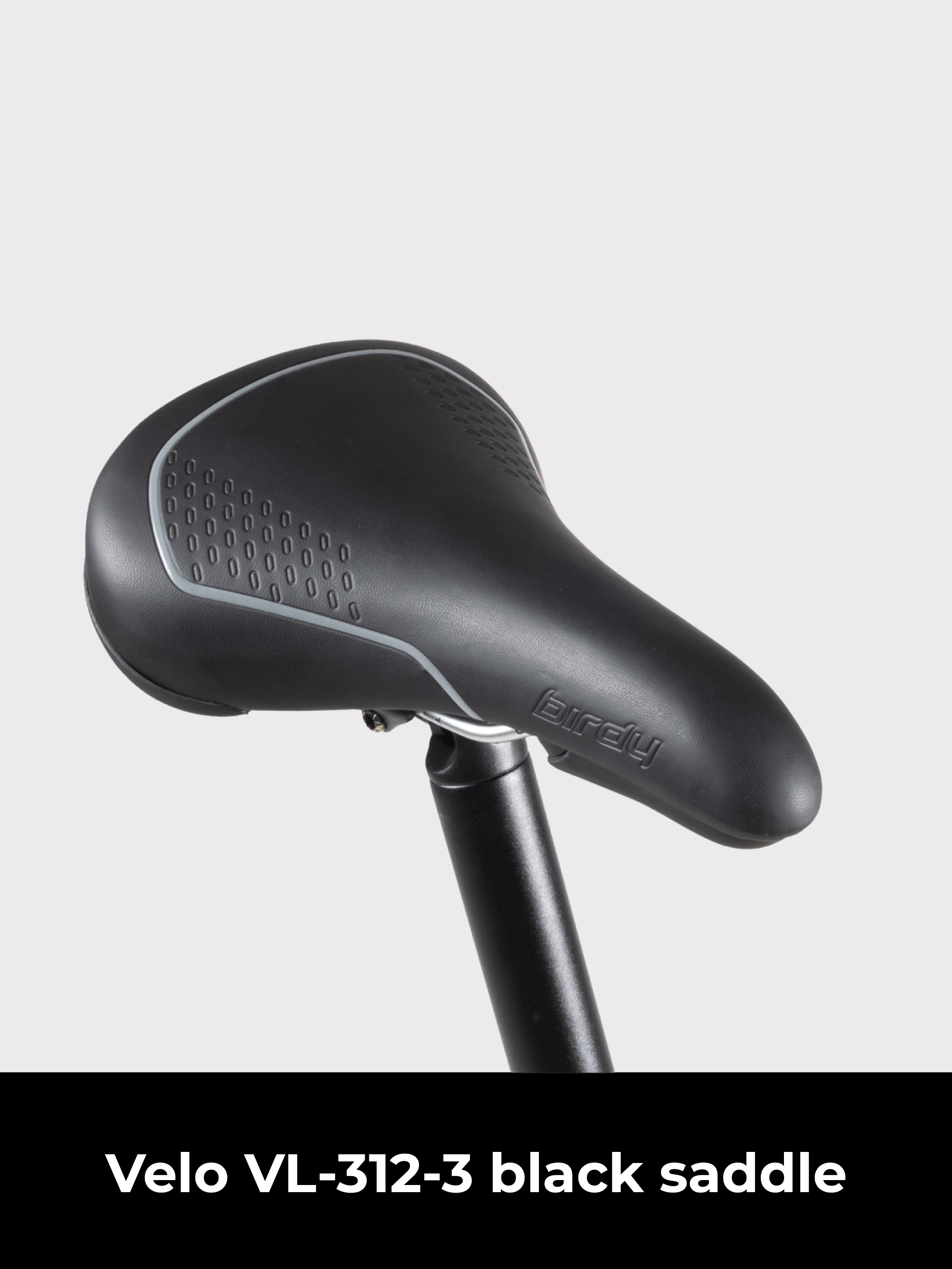 Birdy New Classic | 8-Speed | Performance Foldable Bike