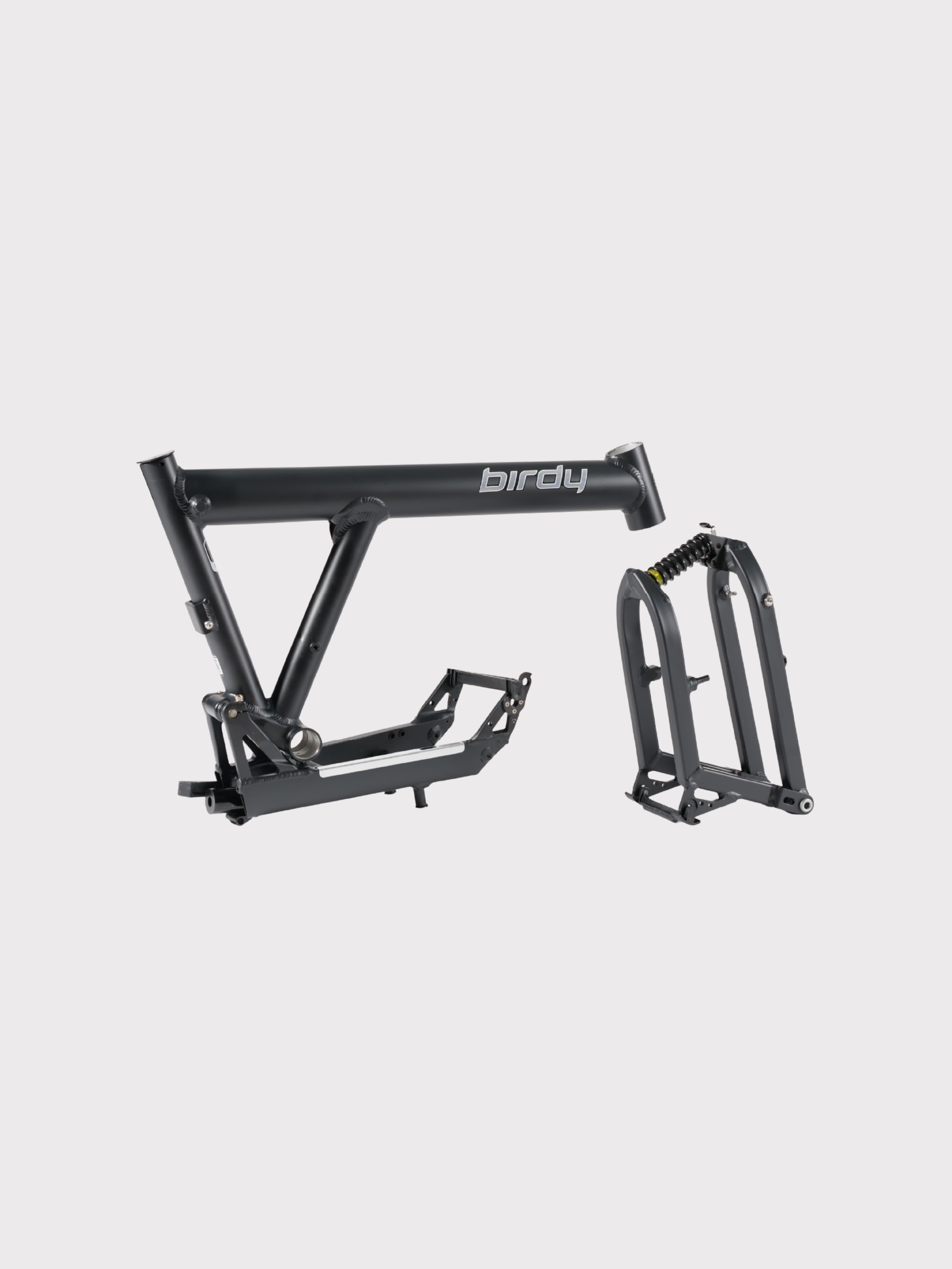 Birdy New Classic | 8-Speed | Performance Foldable Bike