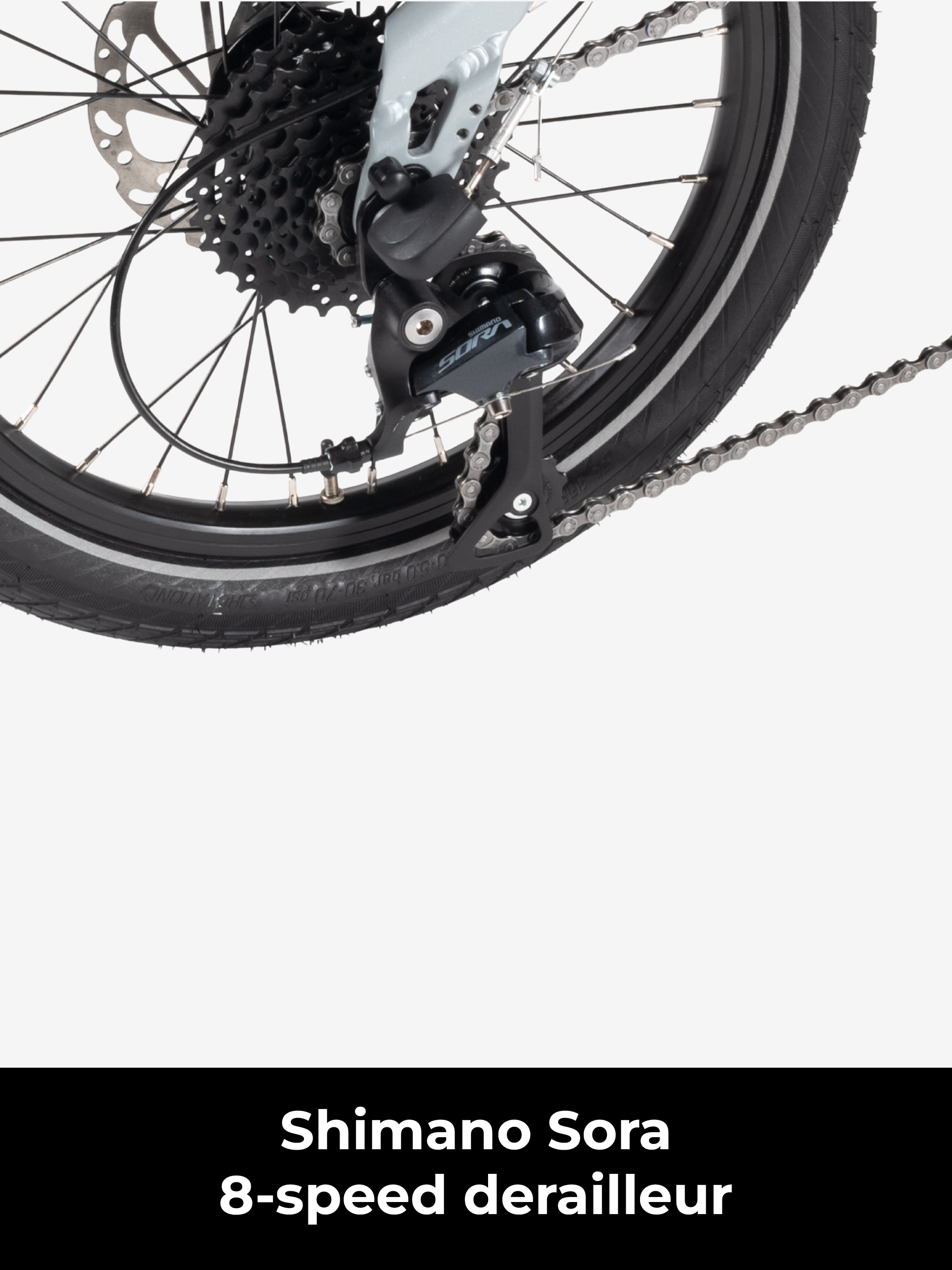 Birdy TouringPLUS | 24-Speed | Performance Foldable Bike