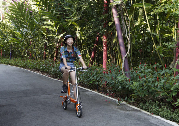 10 reasons the CarryMe is the best foldable bike