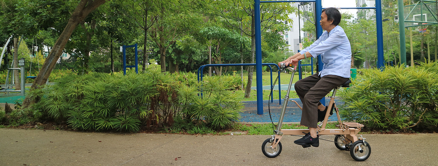 CarryAll Foldable Bike for Seniors & Non-Cyclists