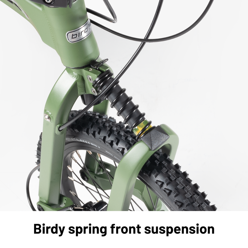 Birdy GT 10 speeds