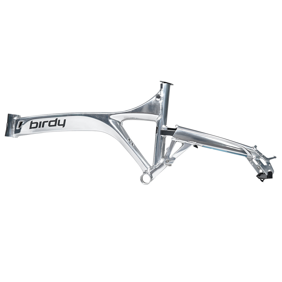 Birdy R20 in Polished Silver | 11-Speed | Performance Foldable Bike