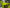 Refurbished Birdy R20 - Lime Green
