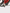 Birdy Chain Tensioner