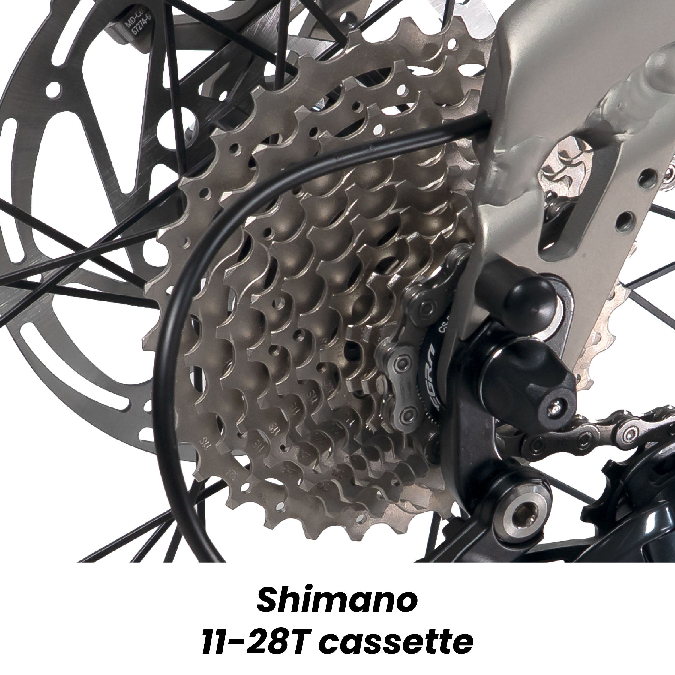 (New Launch!) Birdy Ultegra 20 | Powered by Shimano Ultegra | 11-Speed | Performance Foldable Bike