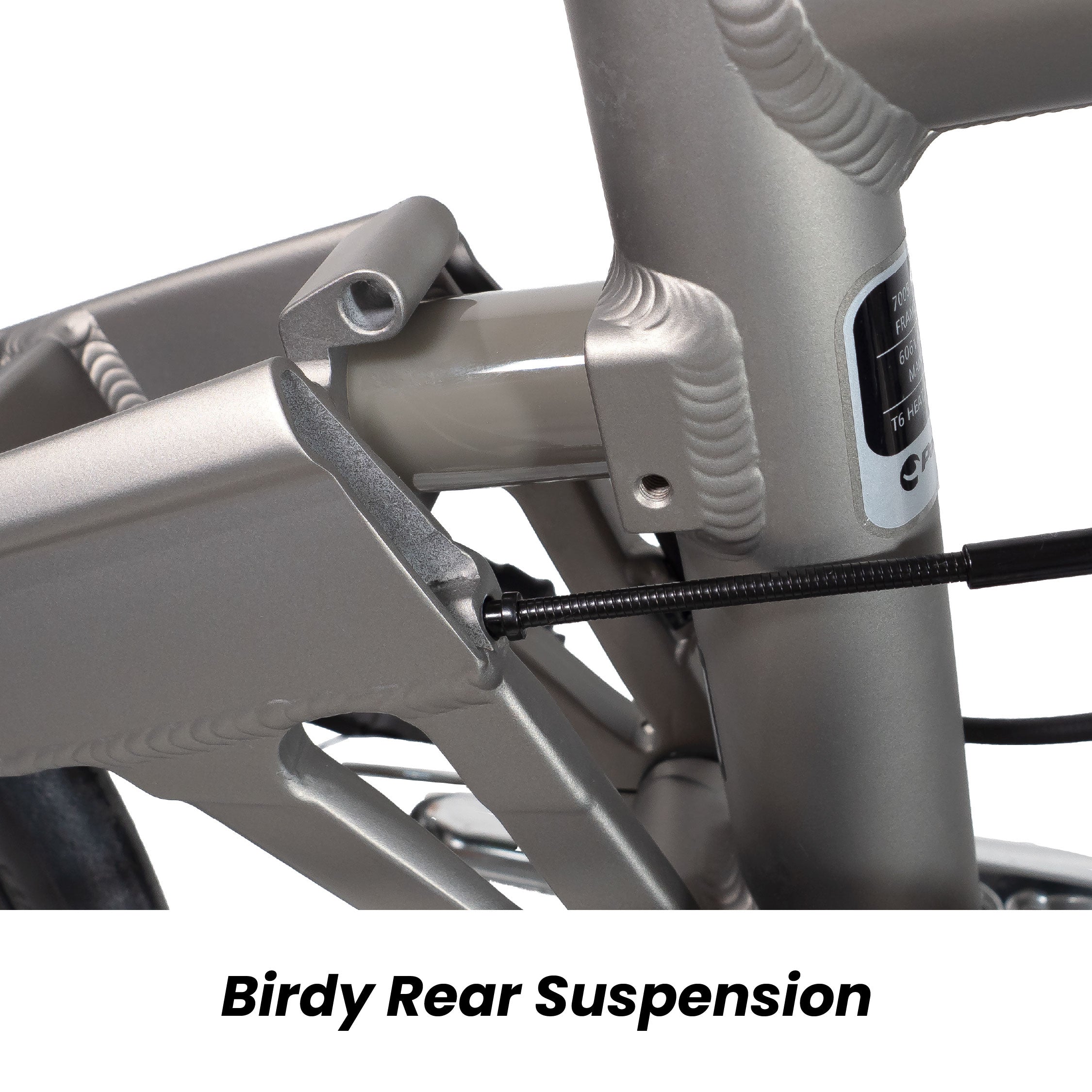 (New Launch!) Birdy Ultegra 20 | Powered by Shimano Ultegra | 11-Speed | Performance Foldable Bike