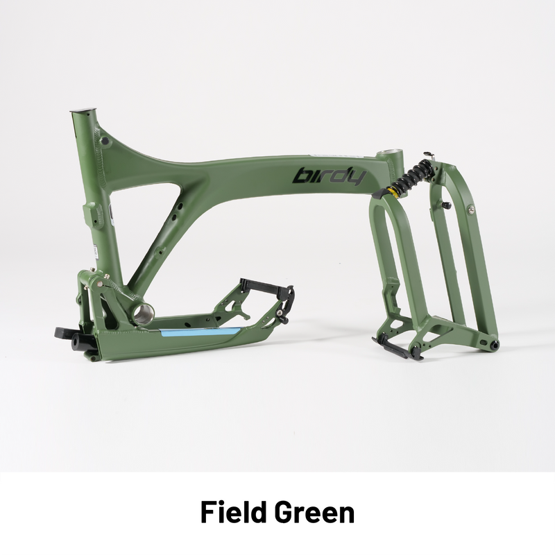 Birdy R20 11 speeds Mighty Velo