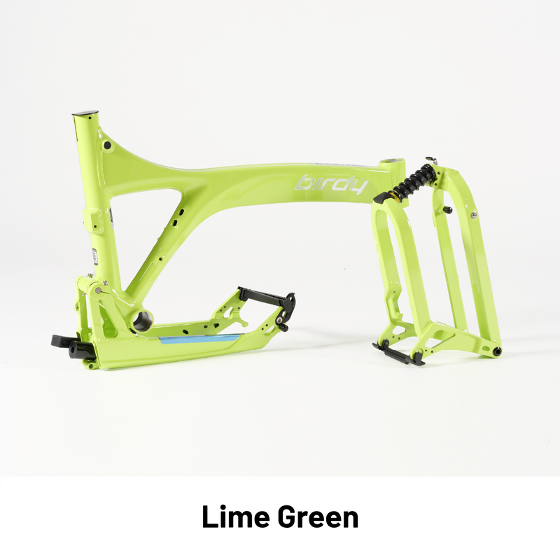 Birdy online r20 price