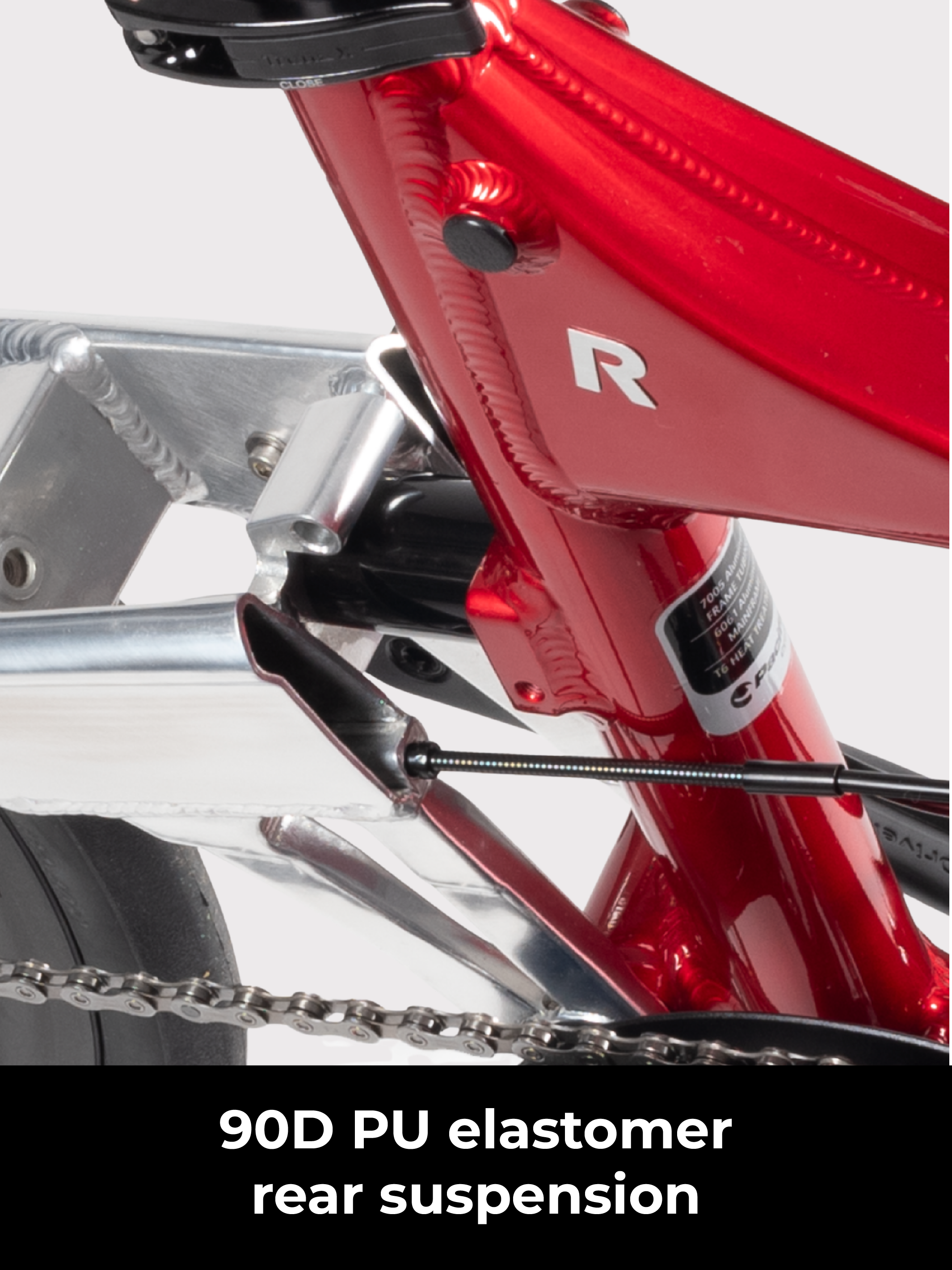 Birdy R20 | 11-Speed | Performance Foldable Bike