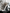 (NEW LAUNCH) BIRDY UD20 Special Edition Galaxy Silver 11-Speed Shimano 105