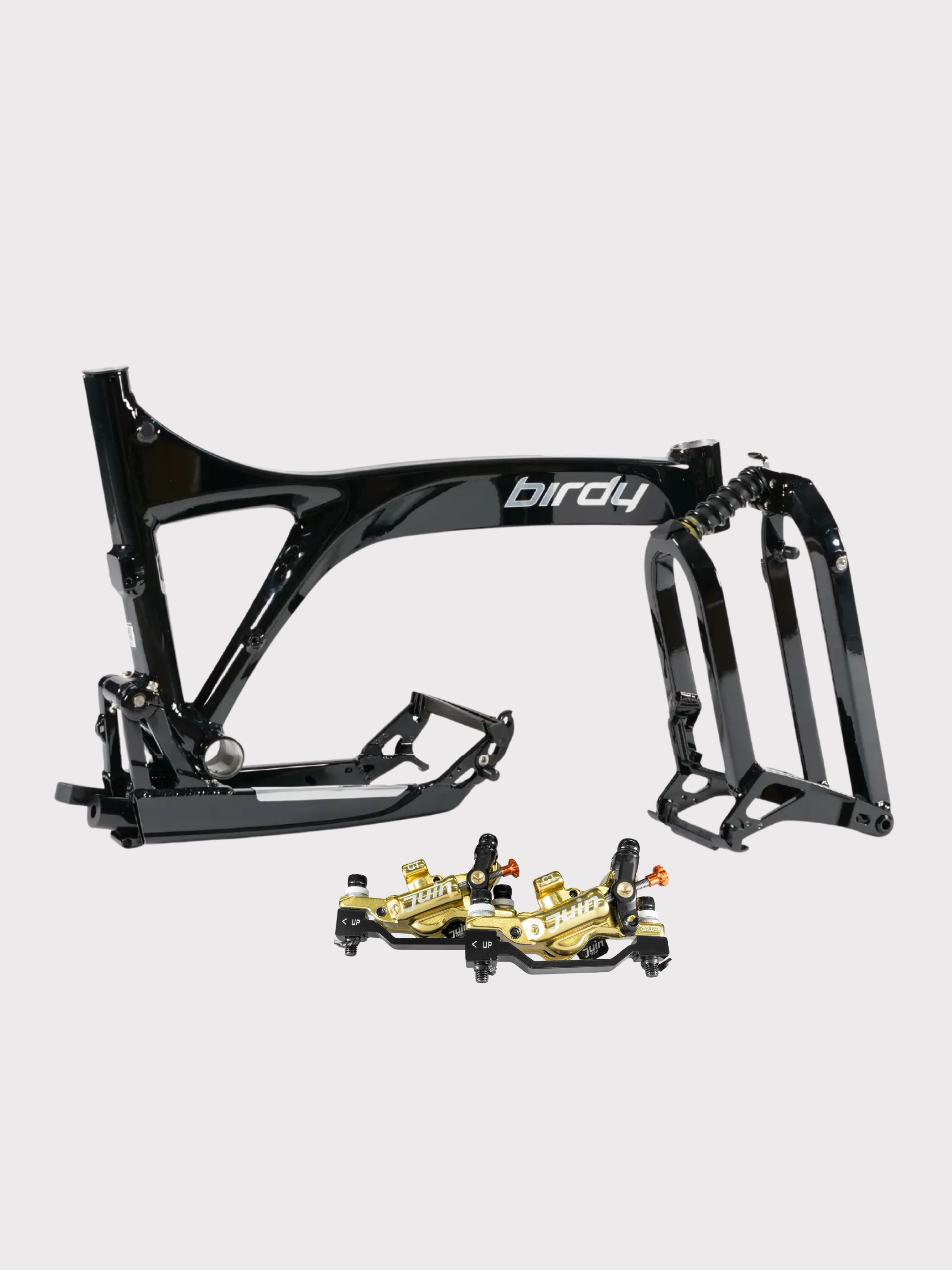 Birdy JK11 Ace | 11-Speed | Performance Foldable Bike
