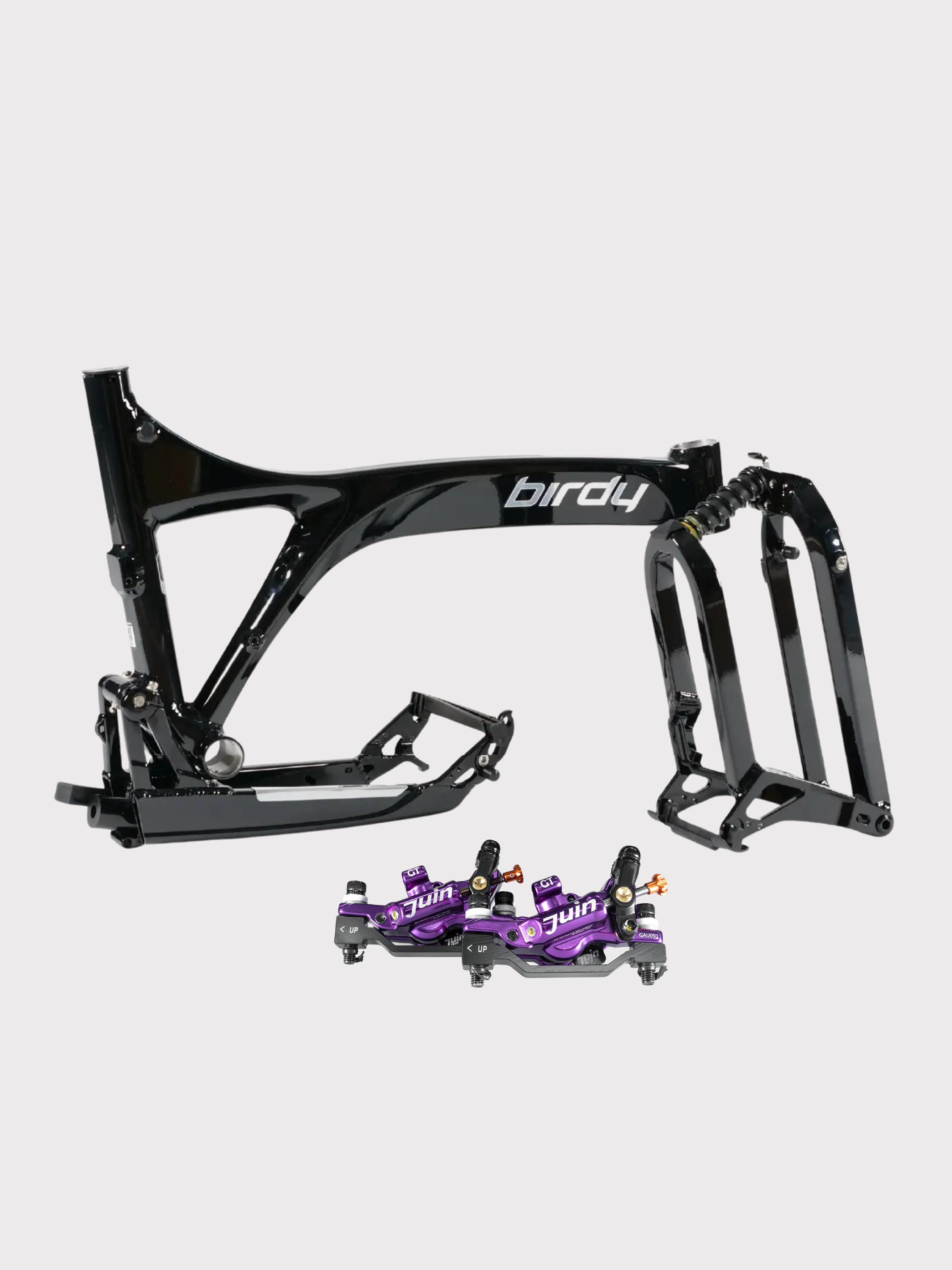 Birdy JK11 Ace | 11-Speed | Performance Foldable Bike - Mighty Velo