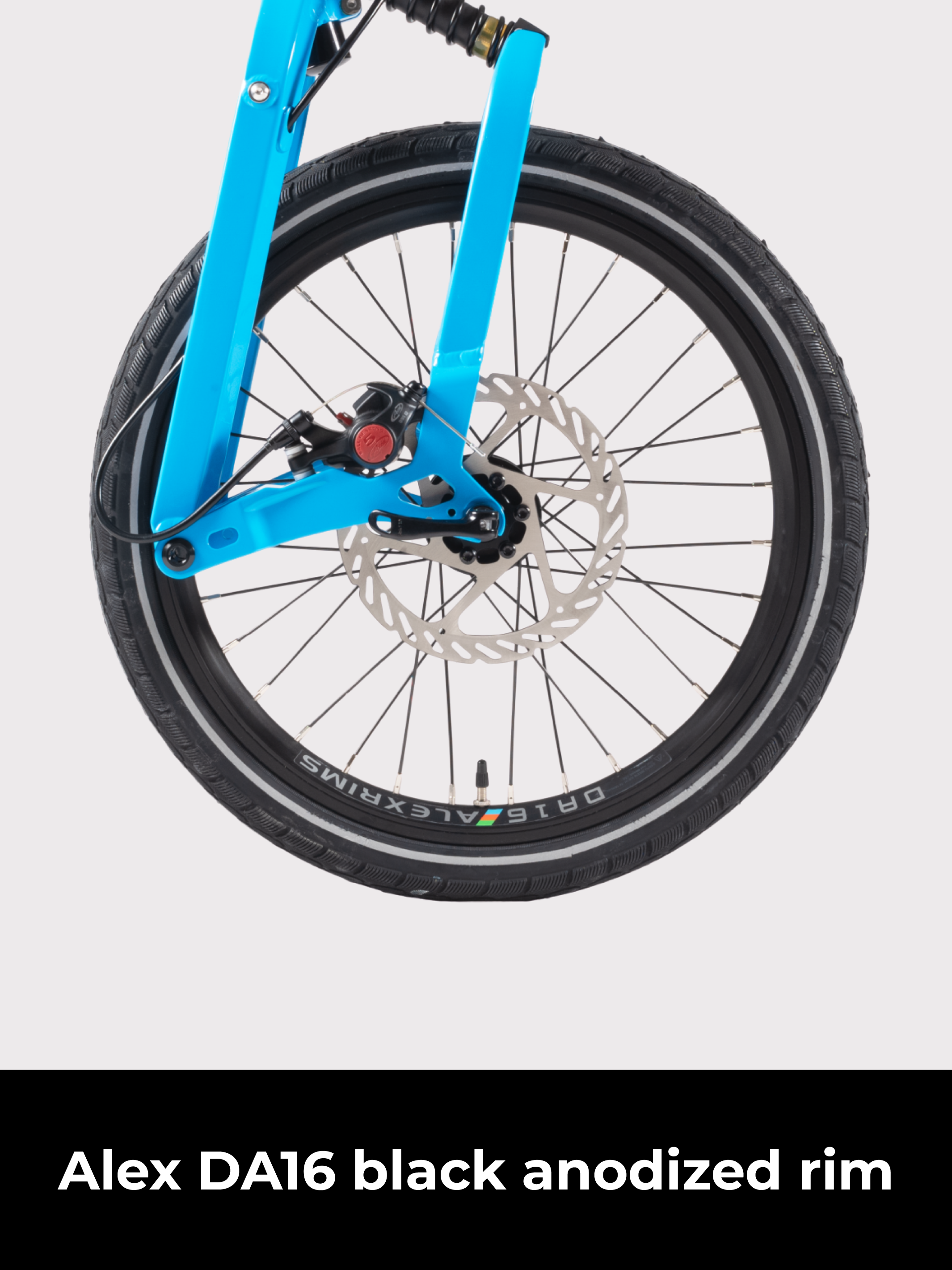 Birdy City | 9-Speed | Performance Foldable Bike