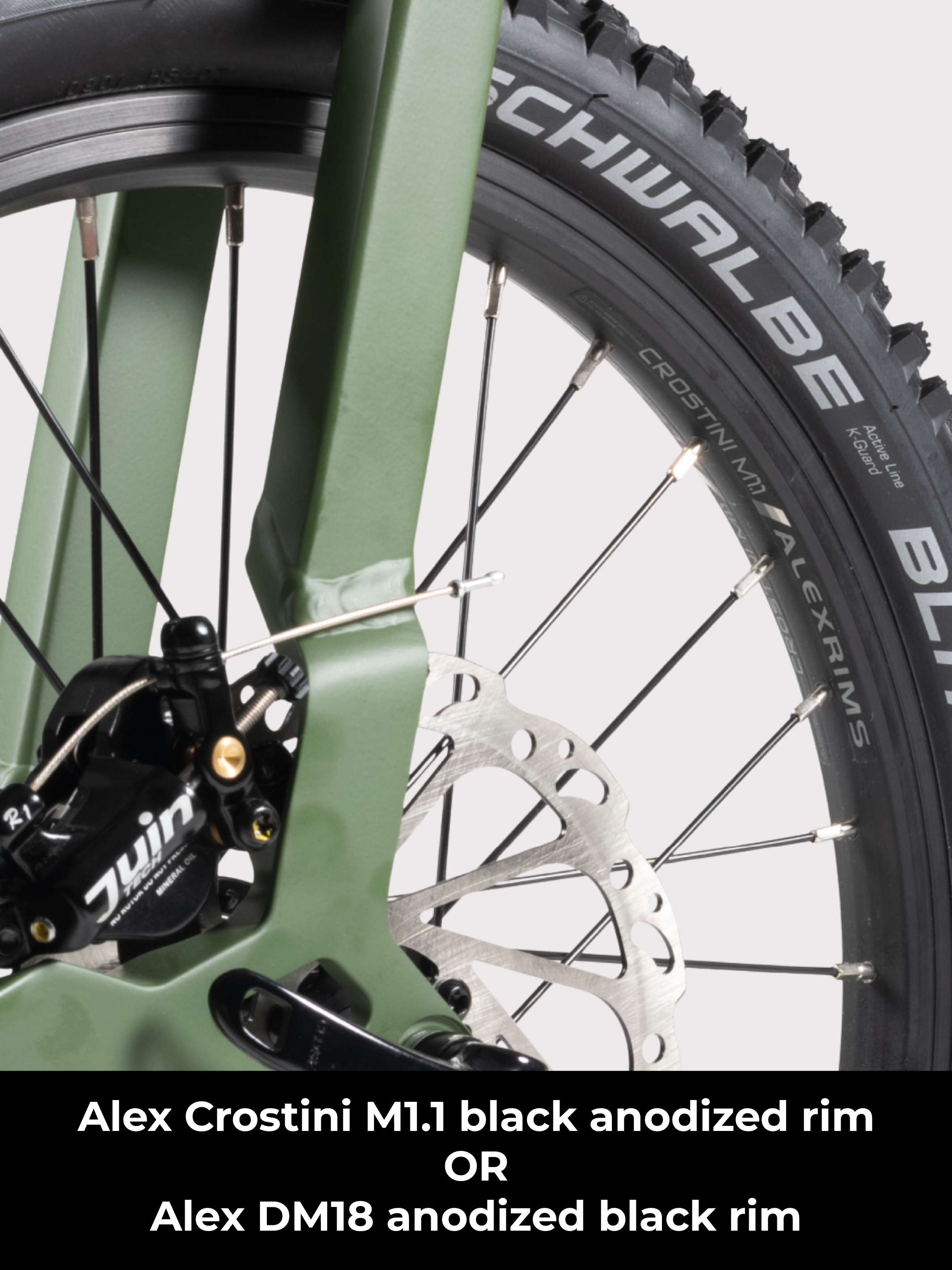 Birdy Gravel | 10-Speed | Performance Foldable Bike