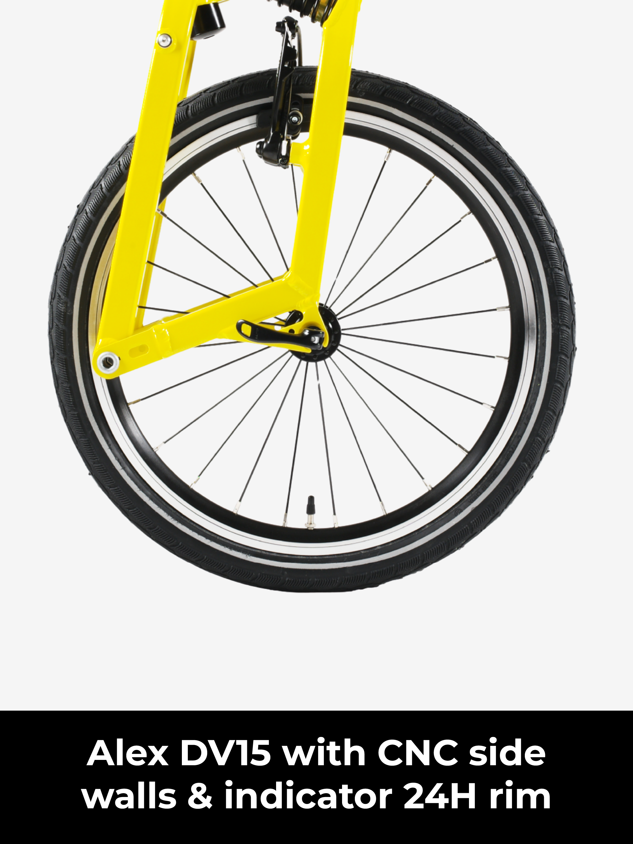 Birdy New Classic | 8-Speed | Performance Foldable Bike