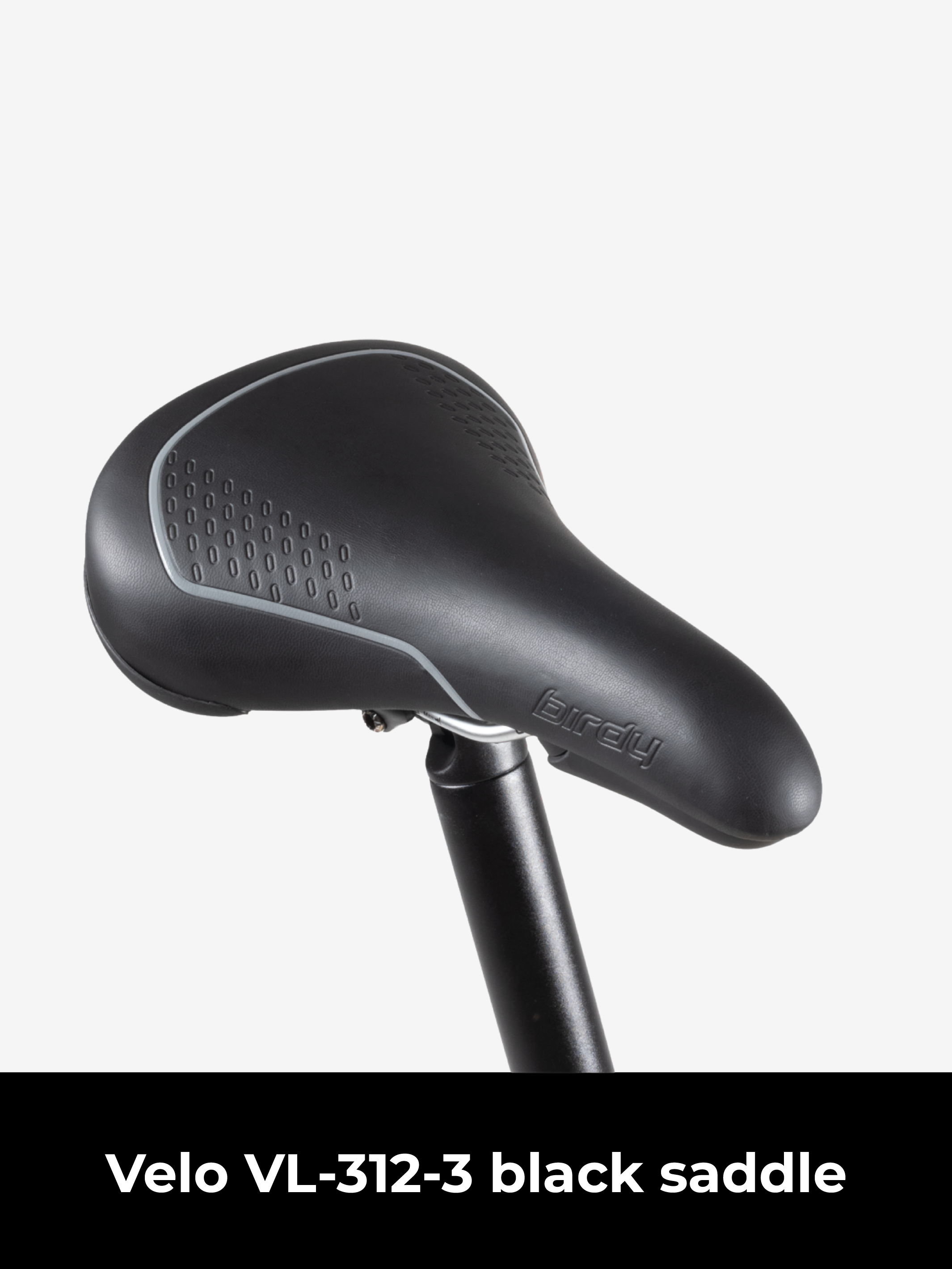 Birdy New Classic | 8-Speed | Performance Foldable Bike