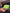 Ortlieb Saddle Bag TWO High Visibility (Waterproof)