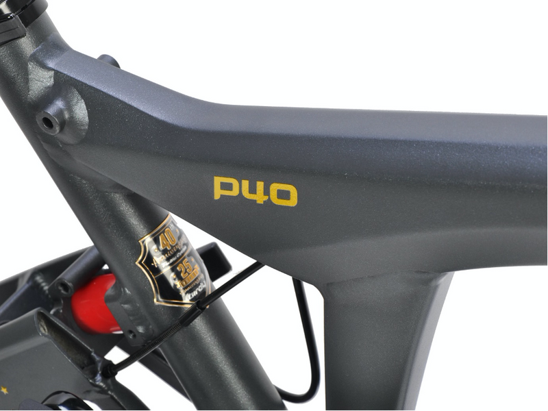 Birdy P40 Limited Edition - Mighty Velo